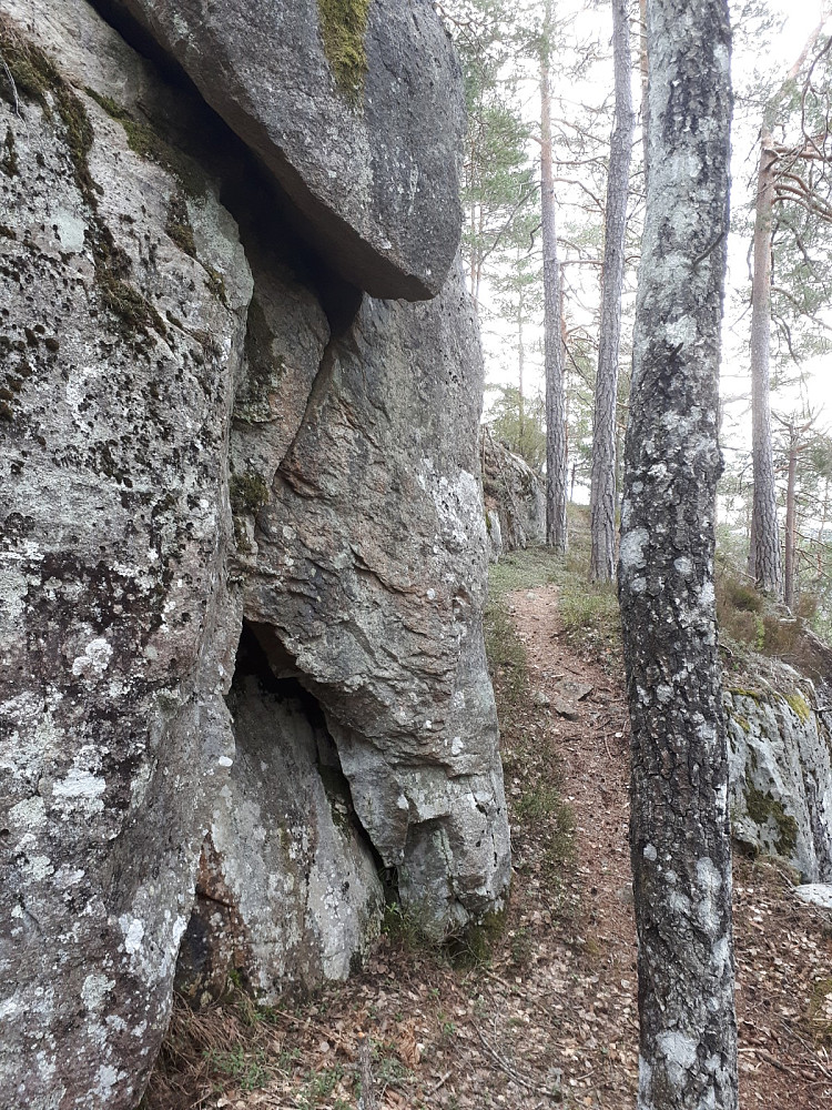 Fulgte en skjæring