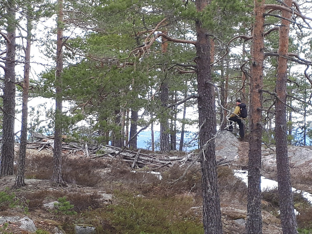 Toppen og en fallent tårn