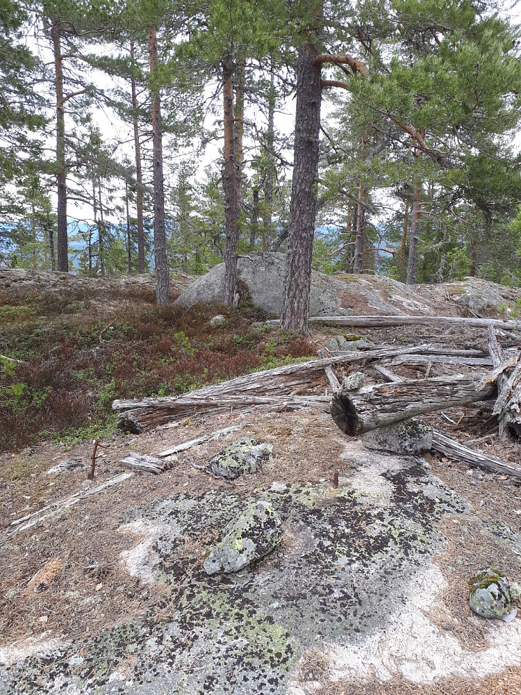 Bolten og det gamle nedfalte tårnet med toppen bak