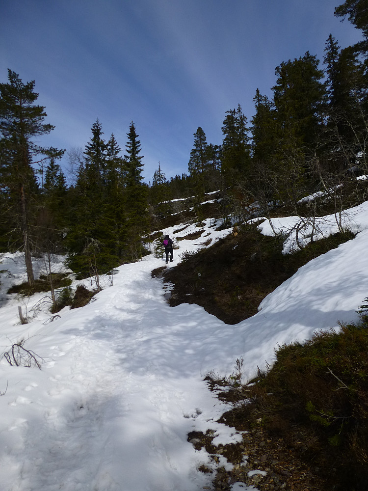 Mer og mer snø oppover, men helt greit å gå