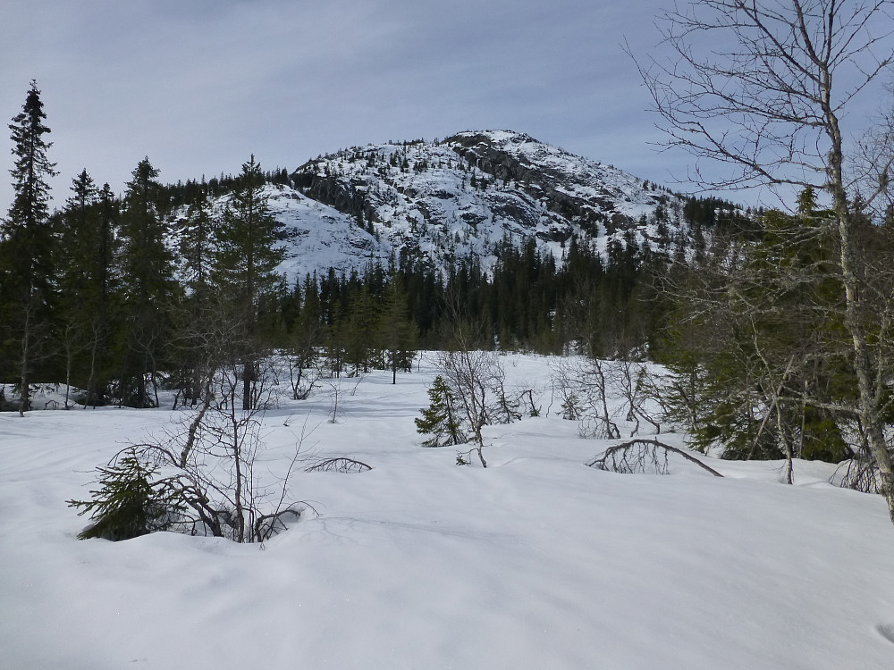 Skuggelifjellet