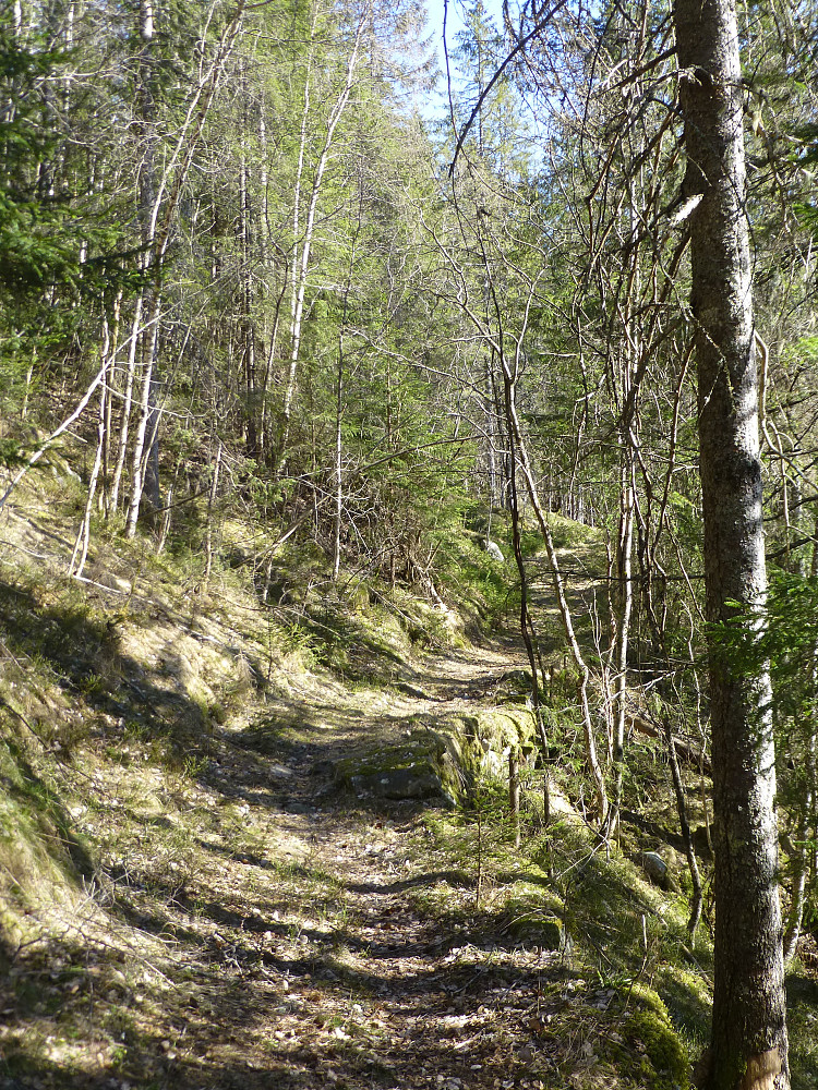 En gammel ferdselsveg 