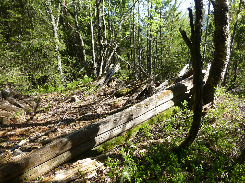 Gammel plass som er på sitt siste