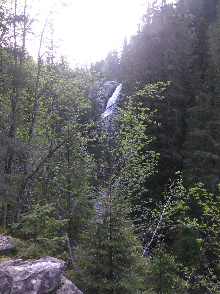 Første glimt av fossen