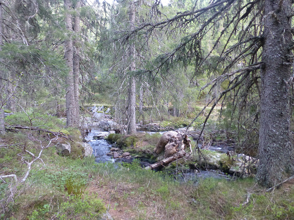 Her ser vi bort på vegen vi kom opp og elva som renner i mellom.