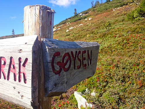 Ved krysset.