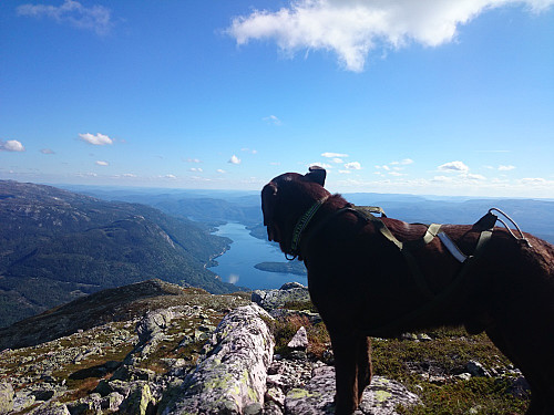 Lukas på toppen.