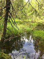marithovi_20170618_59467df54b019.jpg