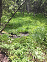 marithovi_20170618_59467df78e76b.jpg