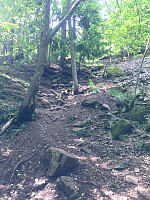 marithovi_20170618_59467dfad2863.jpg