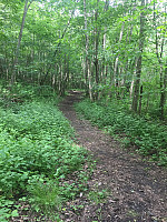 marithovi_20170618_59467dfbf3e62.jpg