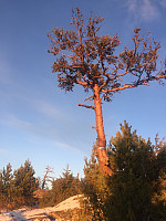 marithovi_20171112_5a08739d4087b.jpg