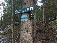 marithovi_20171112_5a08739edfd49.jpg