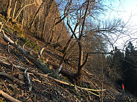marithovi_20171210_5a2d4608baedb.jpg