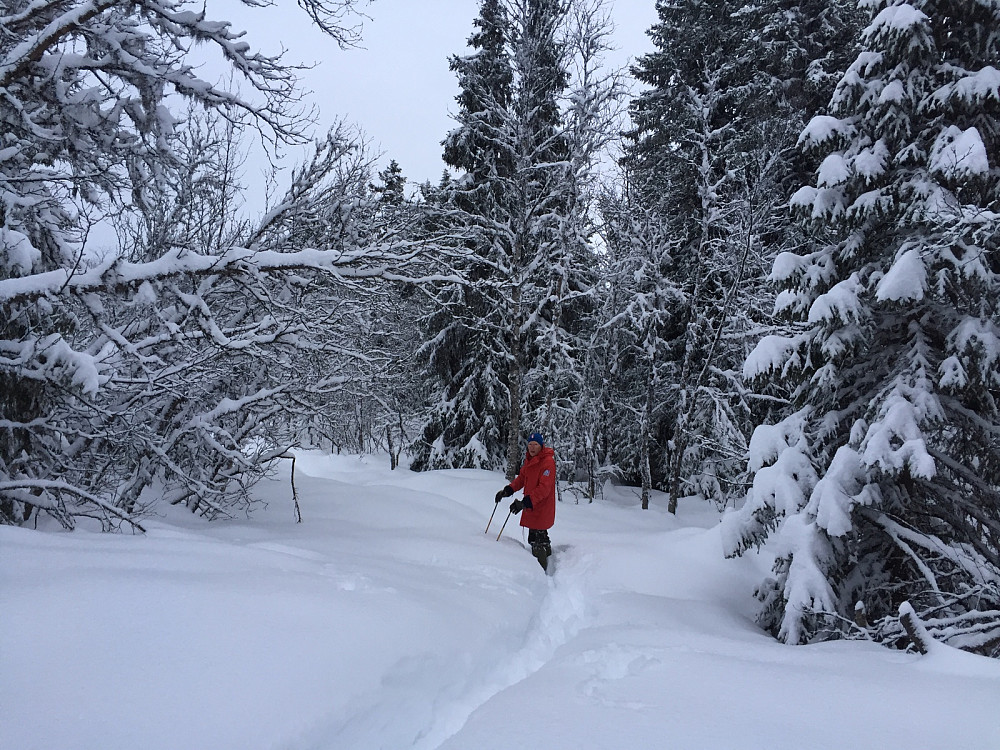 Herlig vinter!