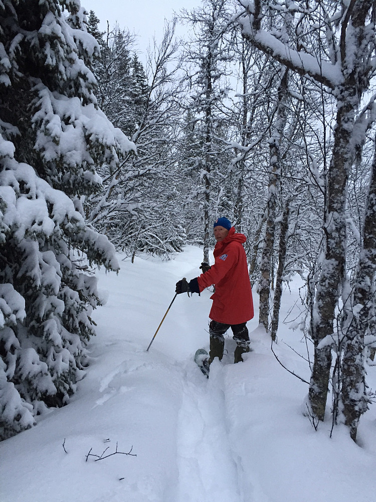 Tricia-runden fra Ulsetfeltet gjennom skogen.