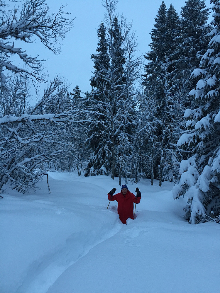 Liten overdrivelse fra Mads�