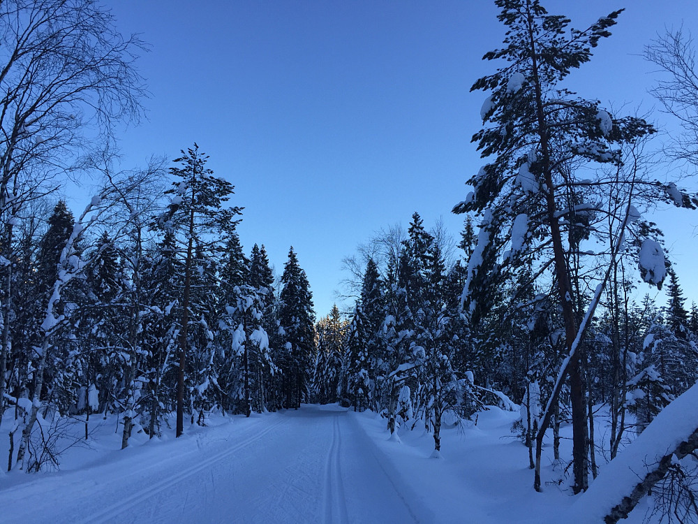 Fint over Myrene