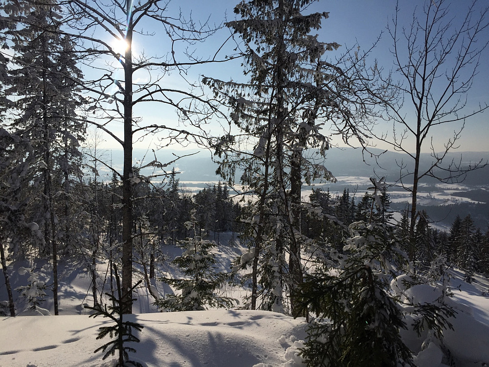 Nydelig sol da vi kom til Vestergyllen, som enda en gang viste seg som Vestmarkas perle