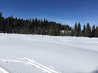 marithovi_20180325_5ab7911f6eba9.jpg