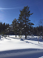 marithovi_20180325_5ab791202006b.jpg