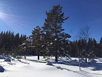 marithovi_20180325_5ab79120d6d1c.jpg