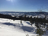 marithovi_20180325_5ab7912581506.jpg