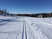 marithovi_20180330_5abe5266c5349.jpg