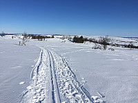 marithovi_20180401_5ac100f3e0999.jpg