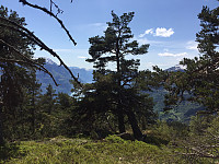 marithovi_20180520_5b013a0e4c3a9.jpg