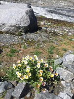 marithovi_20180705_5b3e1b8b0e216.jpg