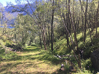 marithovi_20180716_5b4ca09fa23e2.jpg
