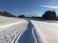 marithovi_20190203_5c56f19d88756.jpg