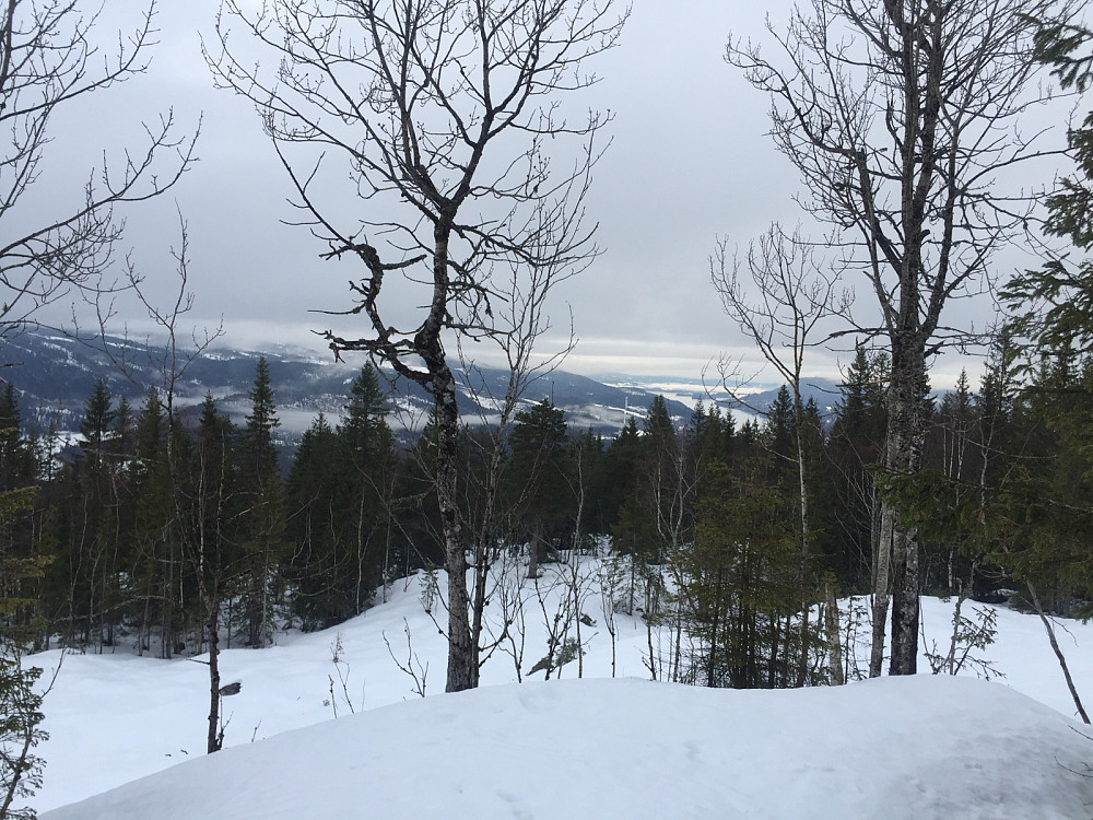 Mot Ringerike