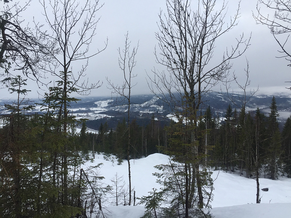 Vestergyllen: mot Lierdalen