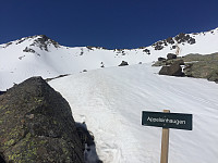marithovi_20190519_5ce132bb546ce.jpg