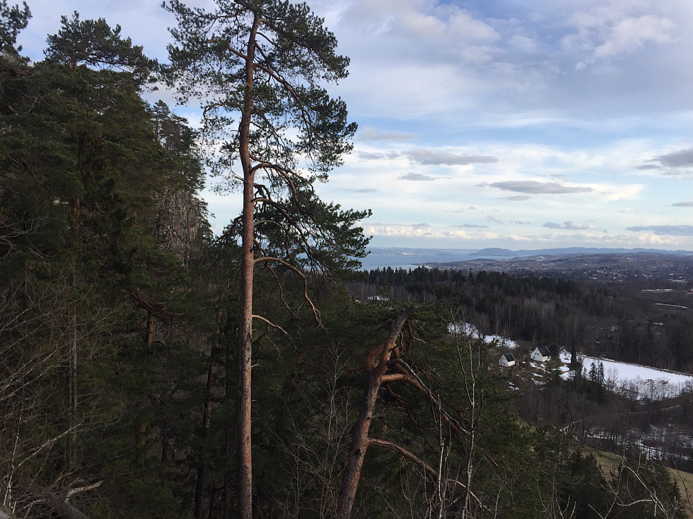 Skaugumsåsen i profil fra vest, til venstre i bildet. Fjorden bak med Håøya i det fjerne.