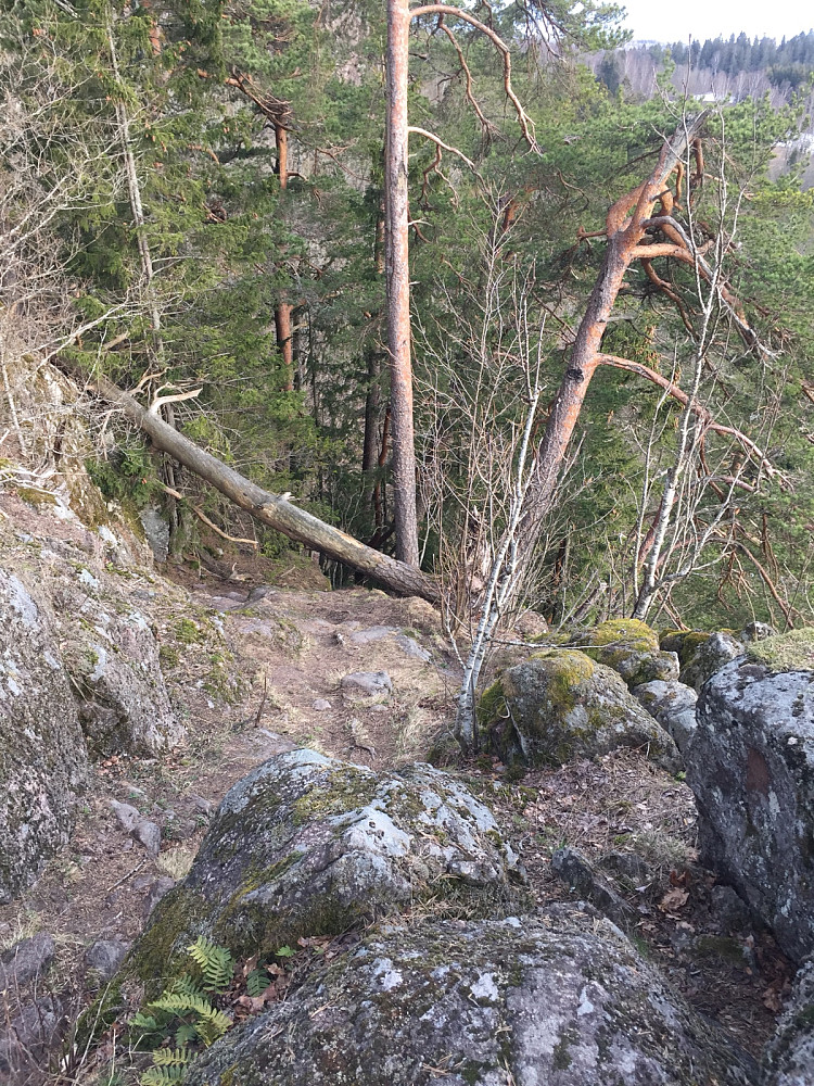 Stien ned mot øvre Kanonvei