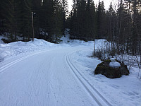 marithovi_20200331_5e82ed44b5a03.jpg