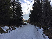 marithovi_20200331_5e82ed453d15f.jpg