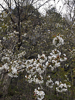 marithovi_20200521_5ec68718f353a.jpg
