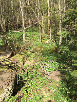 marithovi_20200521_5ec6871b679ab.jpg