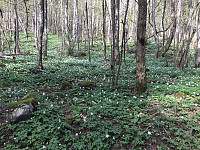 marithovi_20200521_5ec6871c2d859.jpg