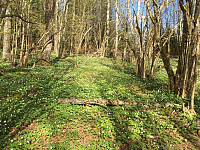 marithovi_20200521_5ec6871cf14b4.jpg