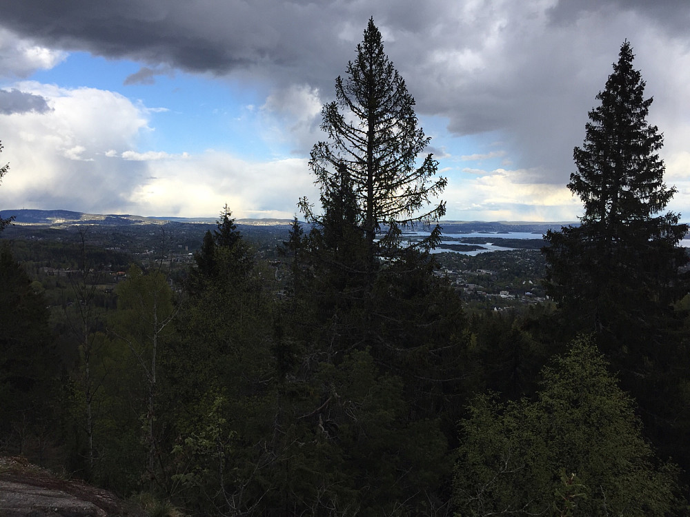 Fra Grosetkollen. Her må det fjernes noen store graner.