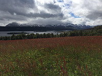 marithovi_20200712_5f0b1693c3915.jpg