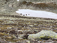 marithovi_20200804_5f29b2060e2ce.jpg