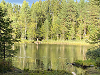 marithovi_20200823_5f428369c3f1f.jpg