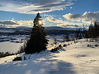 marithovi_20210227_603a6a531e59c.jpg