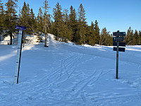 marithovi_20210418_607c15086ad19.jpg